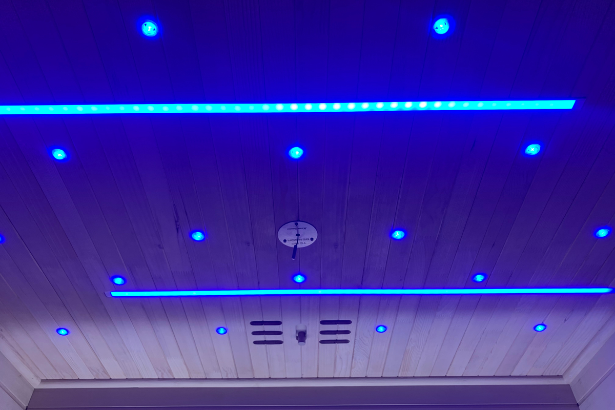 Blisspod | Bergen | Full Spectrum + Red Light Therapy | Deluxe Sauna | Low EMF | Extra-Large Red-Light Therapy Penal | Infrared & Red Glass Heaters & Chromotherapy | 2 Person